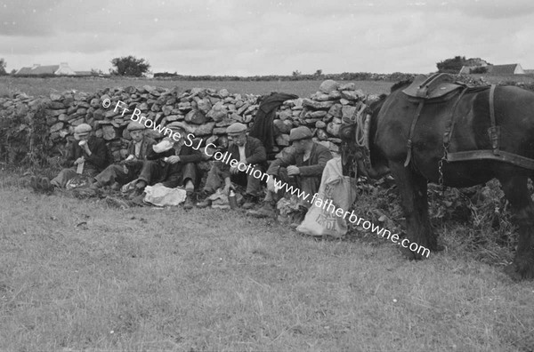 RURAL SCENES